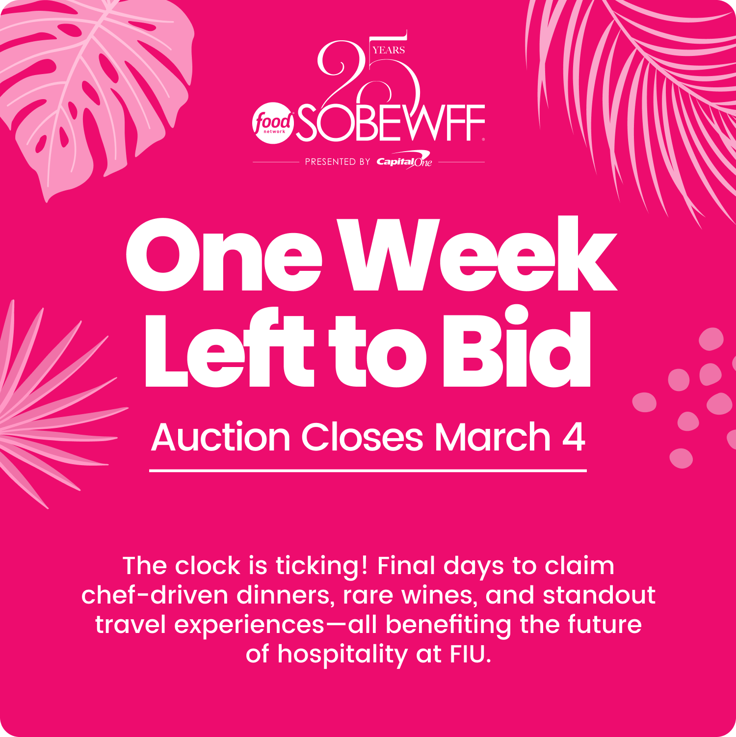 Last Chance to Bid ⏳